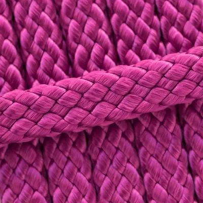Fuchsia *
