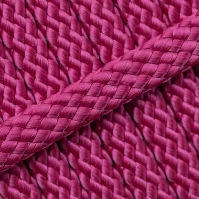 Fuchsia *