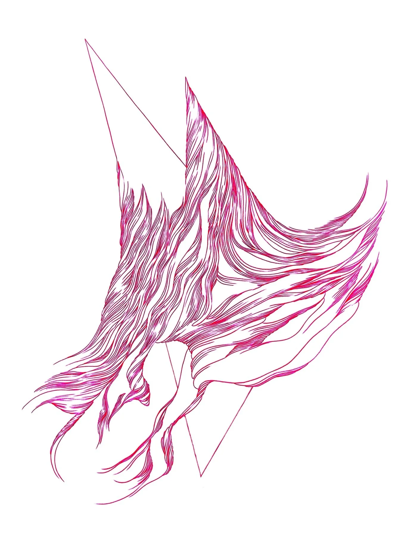 Thorny / pencil on paper