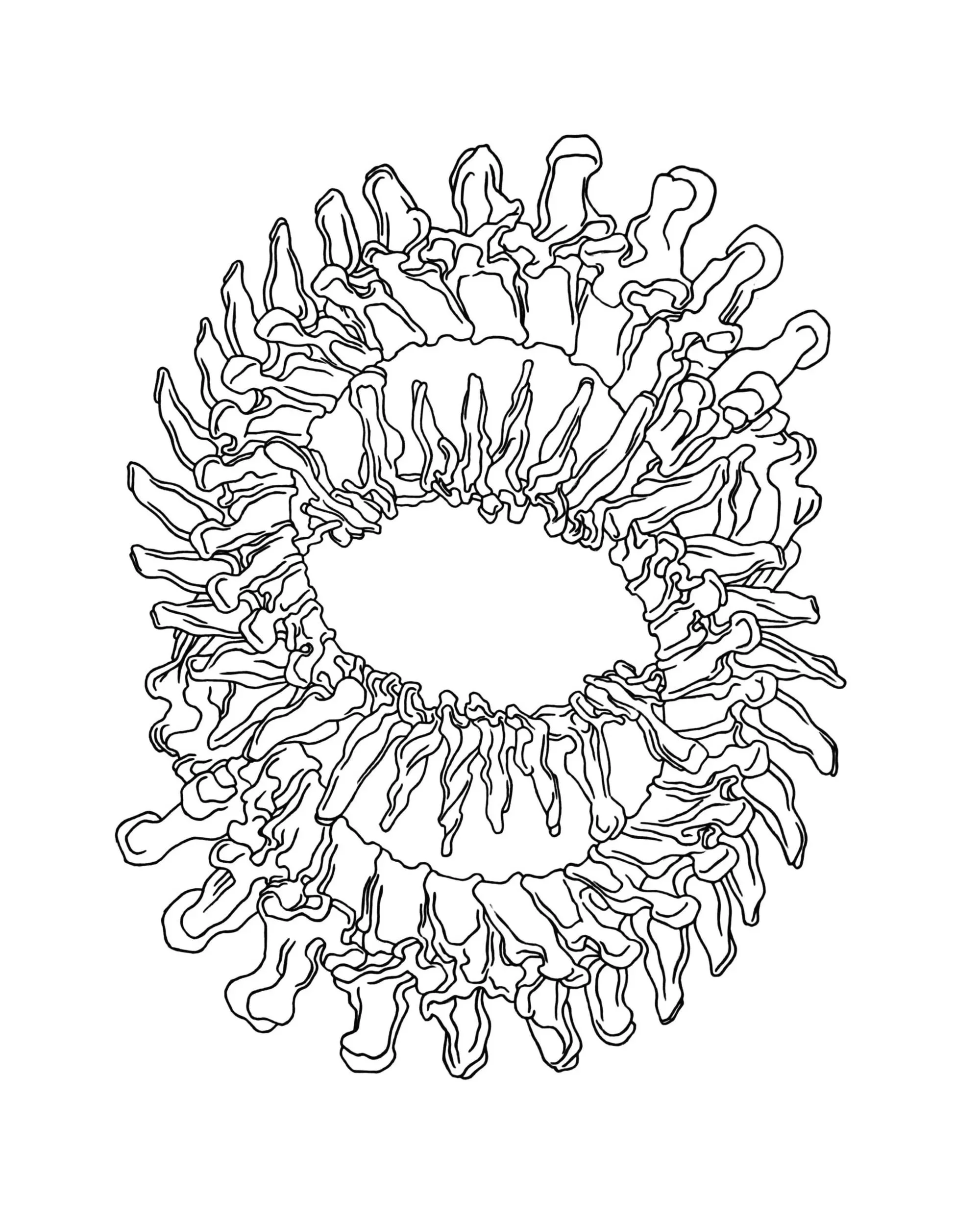 06%252BSpines.jpg