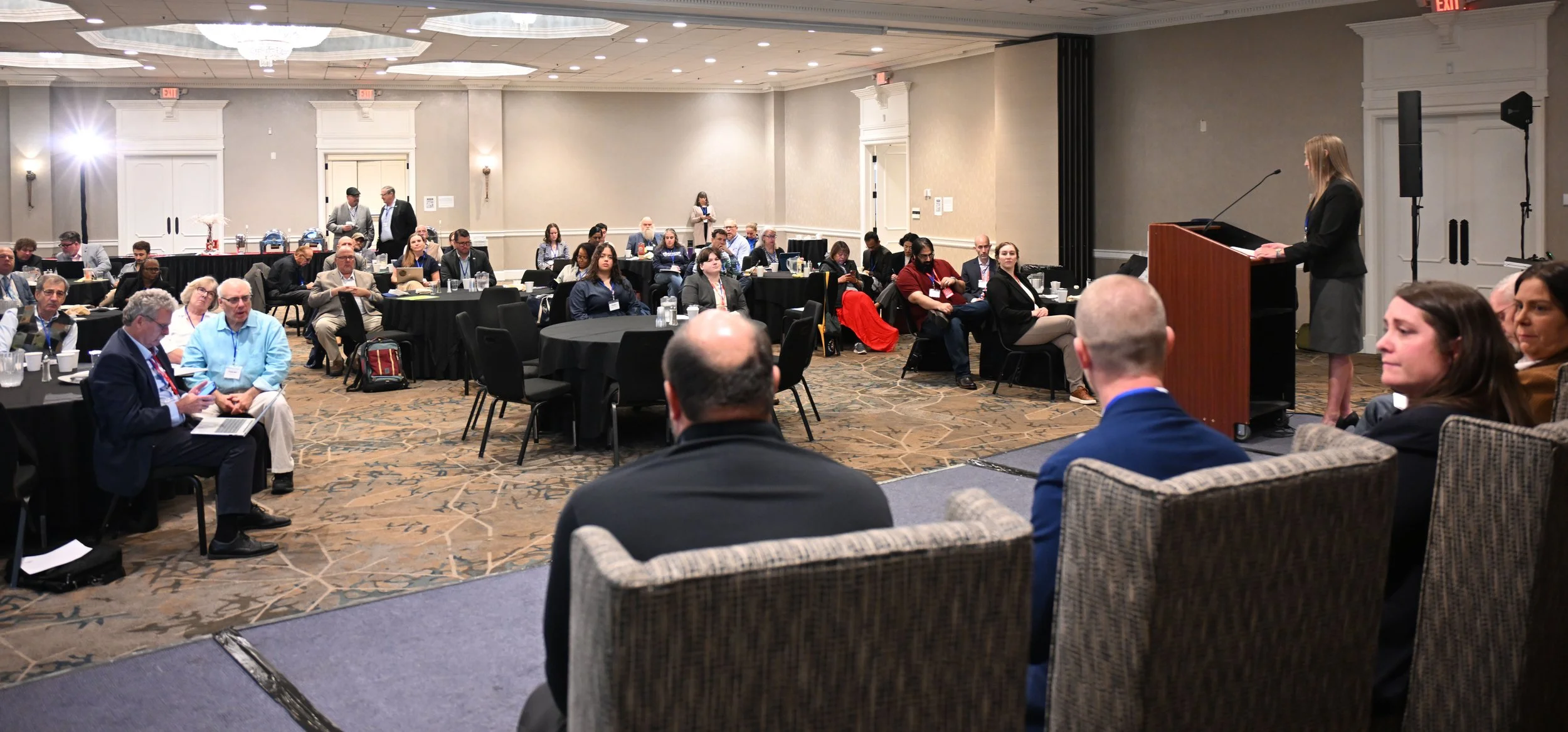 aadsc_3742_55555245384_o.jpg