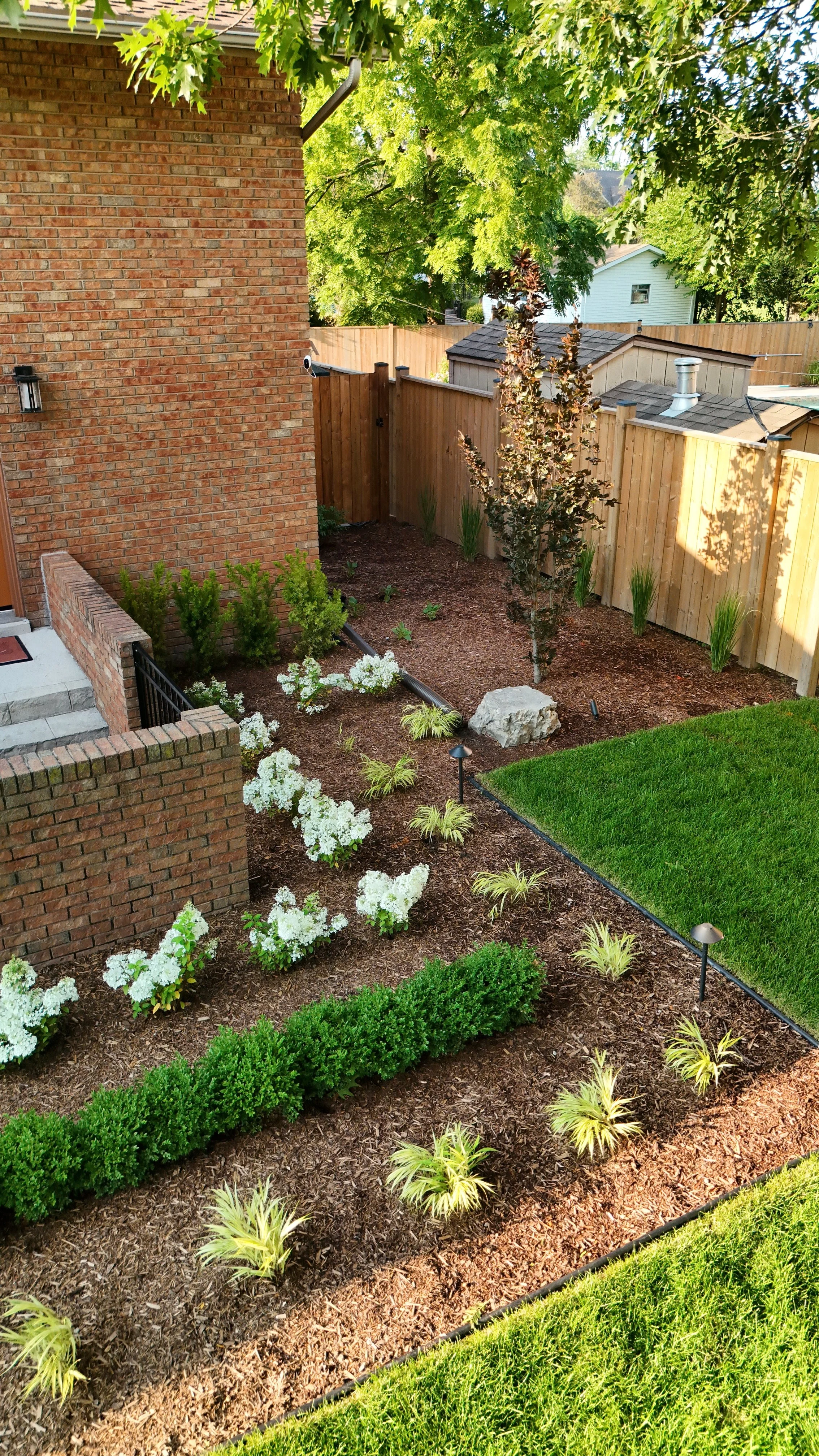 A backyard with a brick house wall, a wooden fence, and landscaped garden beds. The garden features various plants, small shrubs, and a young tree, with a small patch of green lawn in the foreground. There are solar-powered garden lights along the garden edges, and mature trees providing shade overhead.