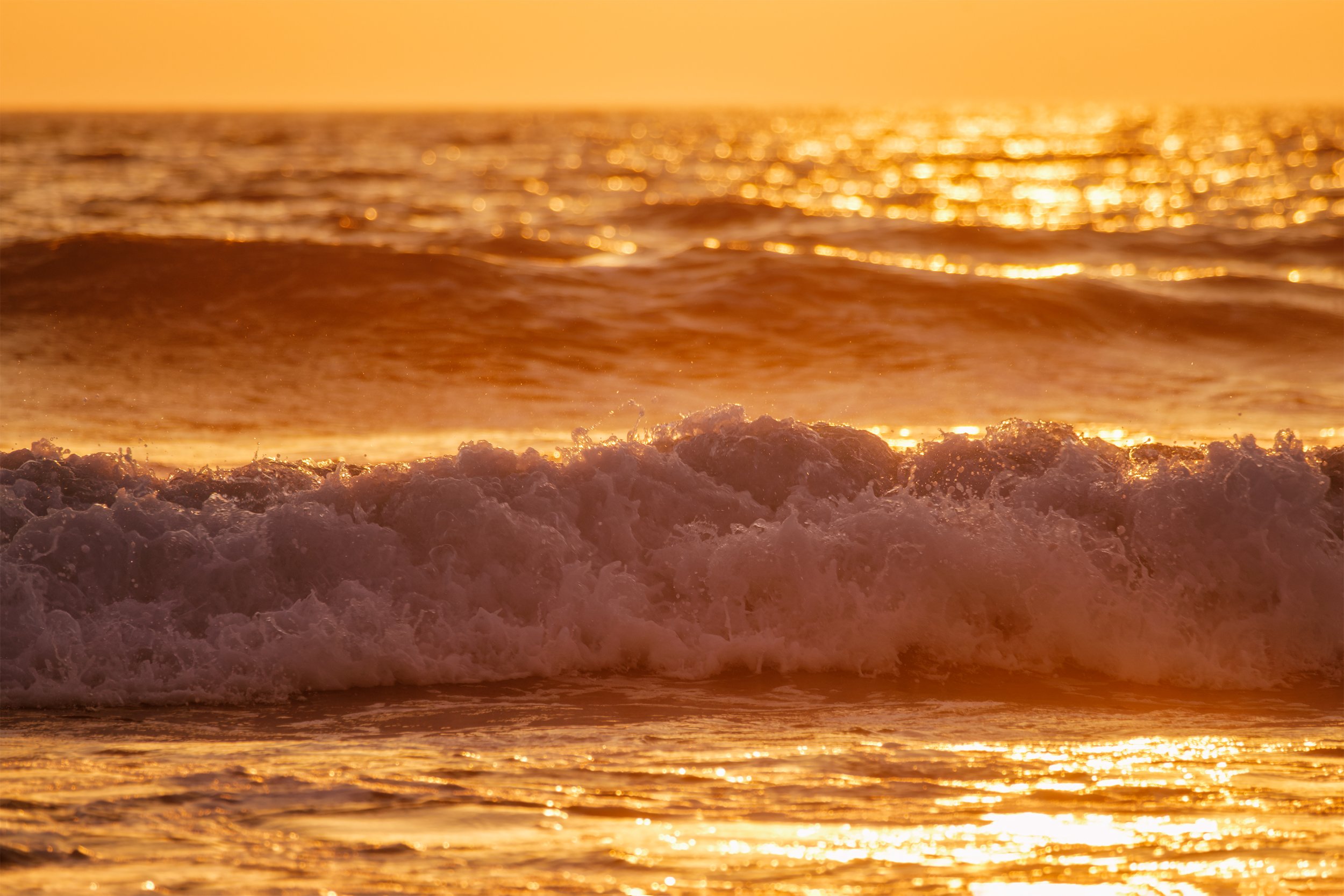 breaking-ocean-wave-on-sunset-2026-03-09-22-11-11-utc.jpg