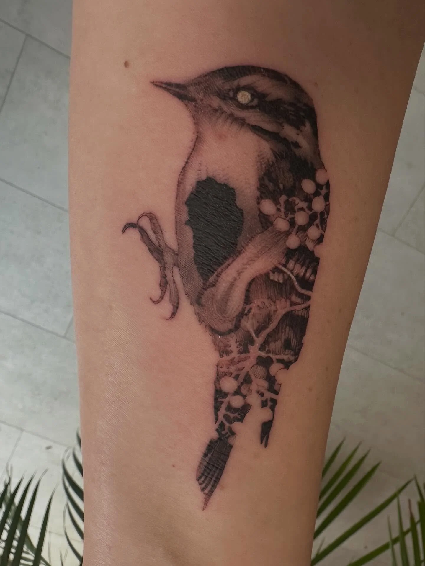 LIFE LATELY

1. My new and now very sore and itchy tattoo
2. Flossy looking pretty with my birthday flowers 
3,4,5 Birthday lunch at The Ivy. Loo-selfie is obligatory with that wallpaper 
6. My little robin friend who serenaded me and made my heart m