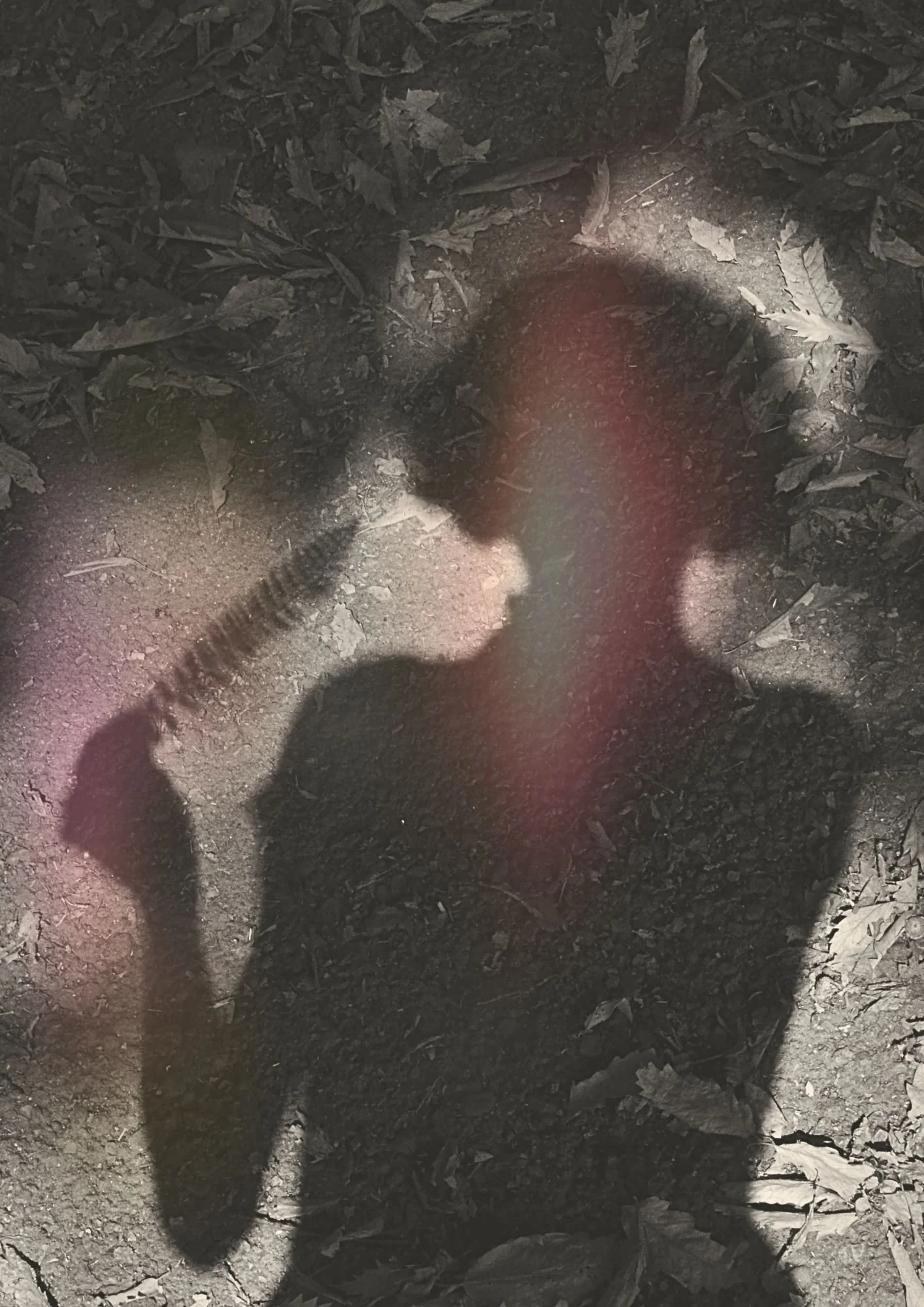Shadow of a person taking the photo, cast on a dirt and leaf-covered ground, with a small hairbrush visible on the ground.