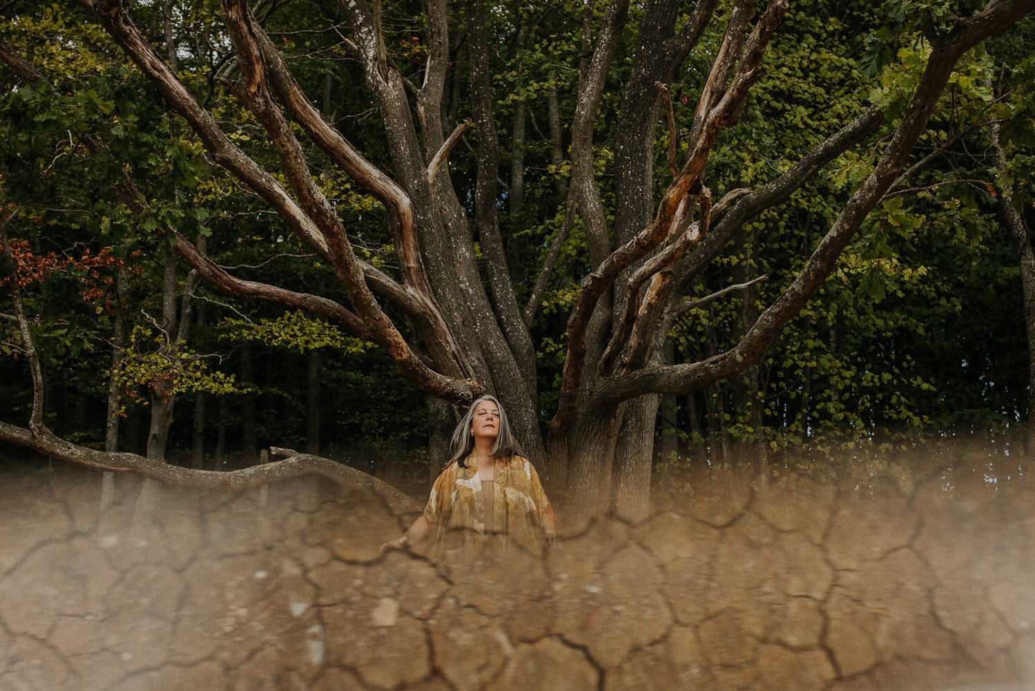 A woman with gray hair stands in front of a large, leafless tree in a forest, with cracked, dry earth in the foreground.