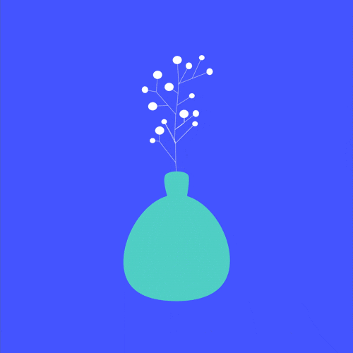 Motion design ou image animée vase morphing