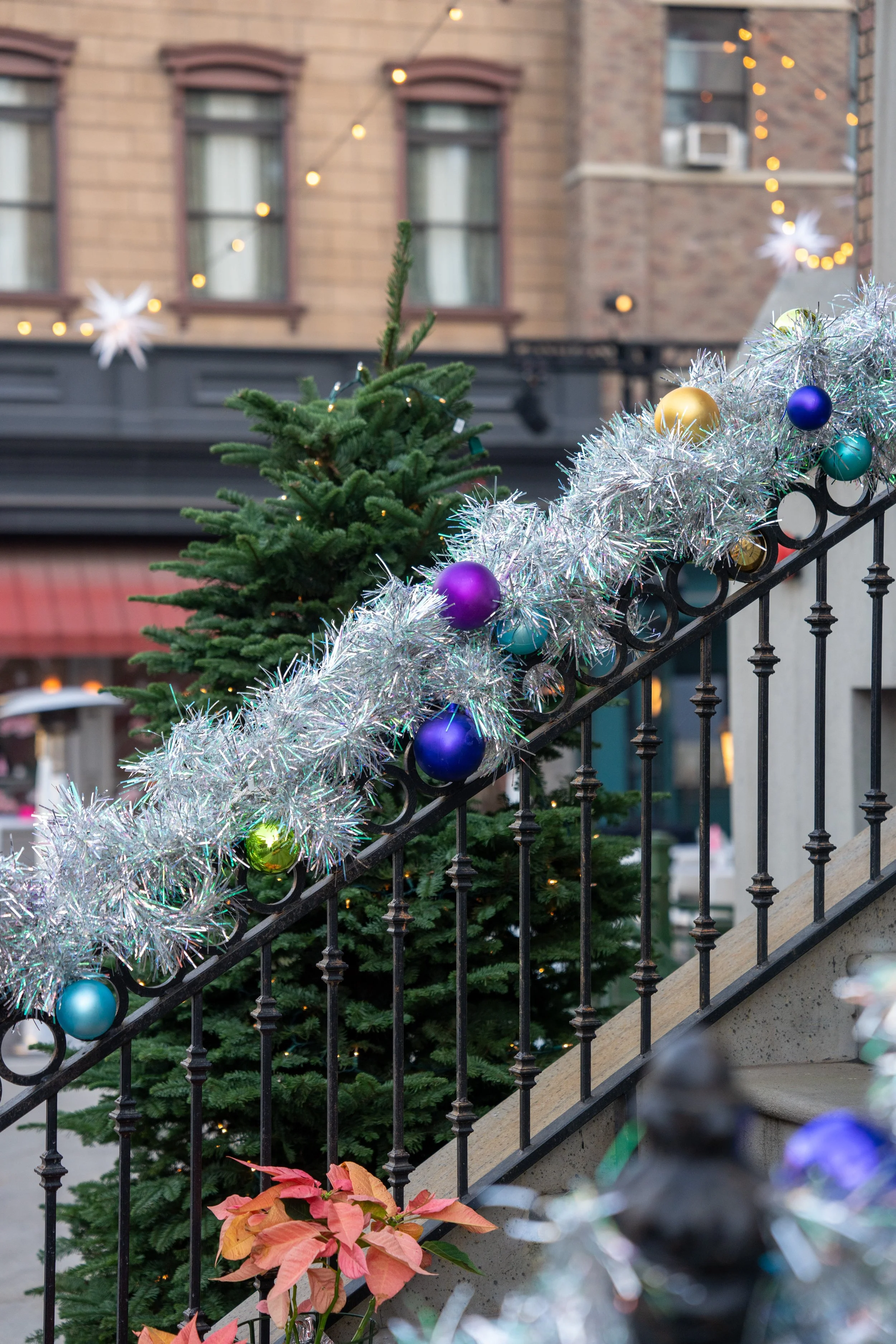 Copy of Fox-Holiday-2025-34(1).jpg