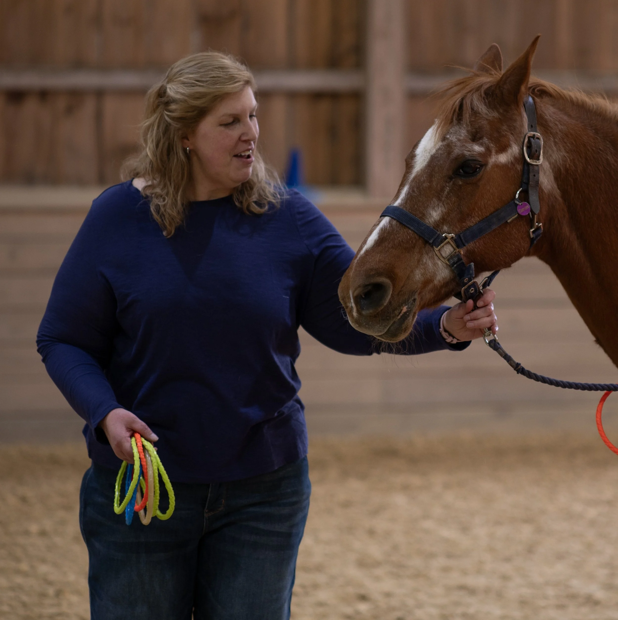 A woman with blonde hair wearing a blue long-sleeve shirt standing next to a chestnut horse with a white stripe on its face inside a wooden barn. The woman is holding colorful loops in her hand, and the horse is wearing a black halter.