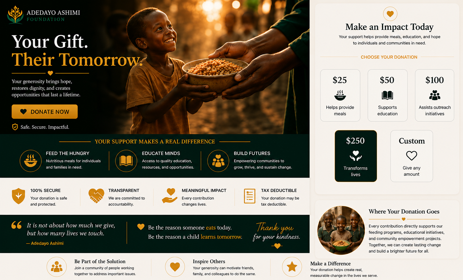 A charitable donation webpage for Adedayo Ashimi Foundation featuring a young boy smiling and receiving food from an adult, with donation options including $25 for meals, $50 for education, $100 for outreach, $250 to transform lives, and a customizable amount. The page emphasizes impact, transparency, and community support.