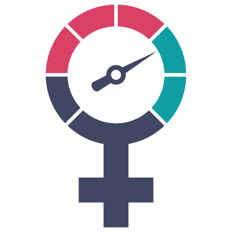 an icon of a female venus symbol