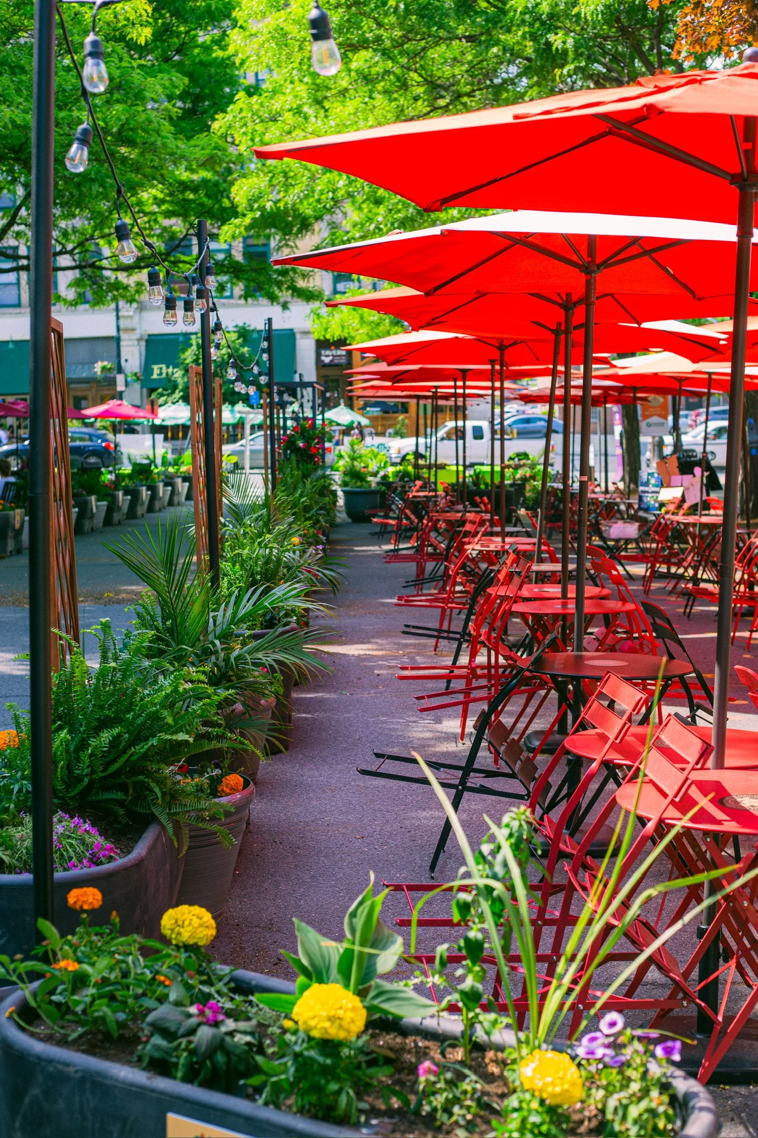 A street view of Summer on Strong, showing empty tables with big red umbrellas, surrounded by lush green plants.