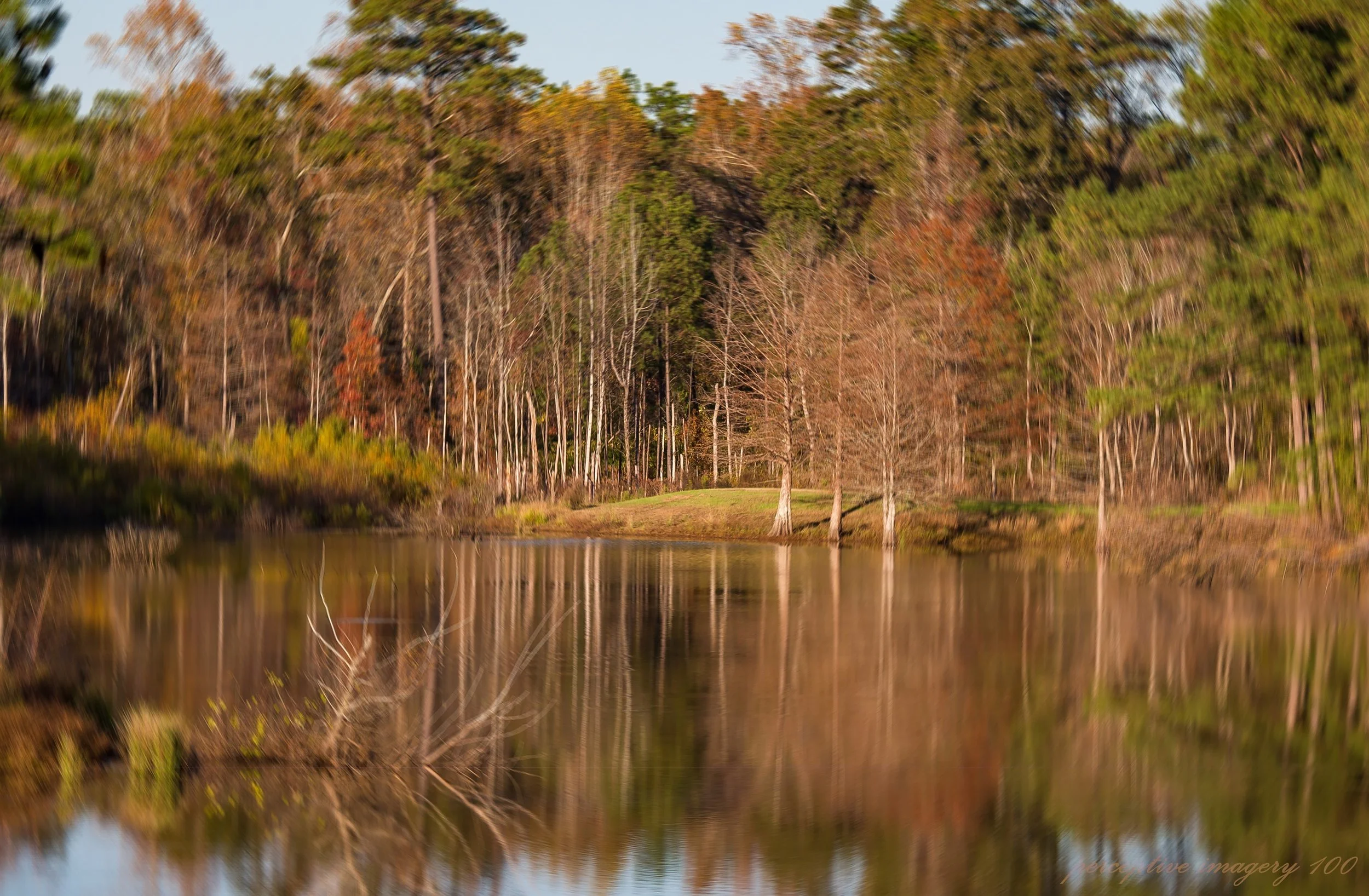 illusions from Fall.... for your Wall...