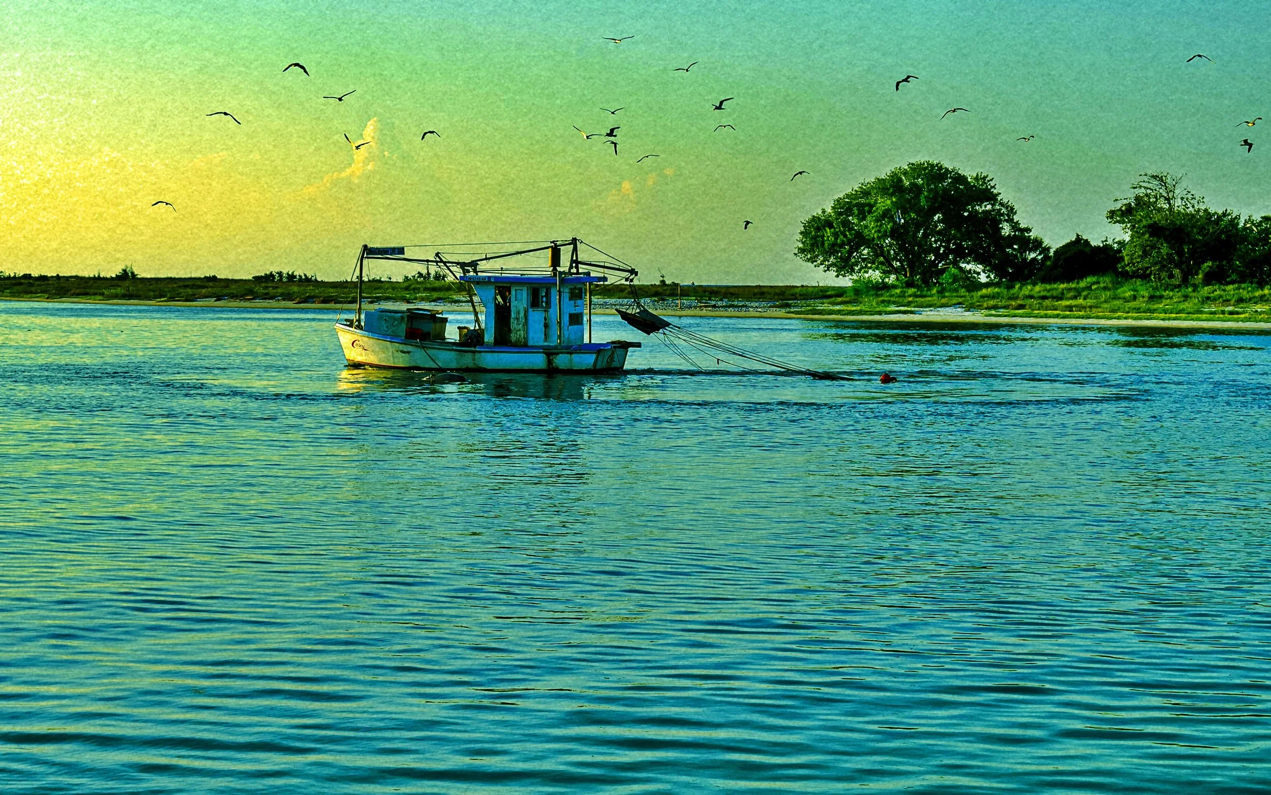 🎨 Shaping Perception with Color in Photographic Art