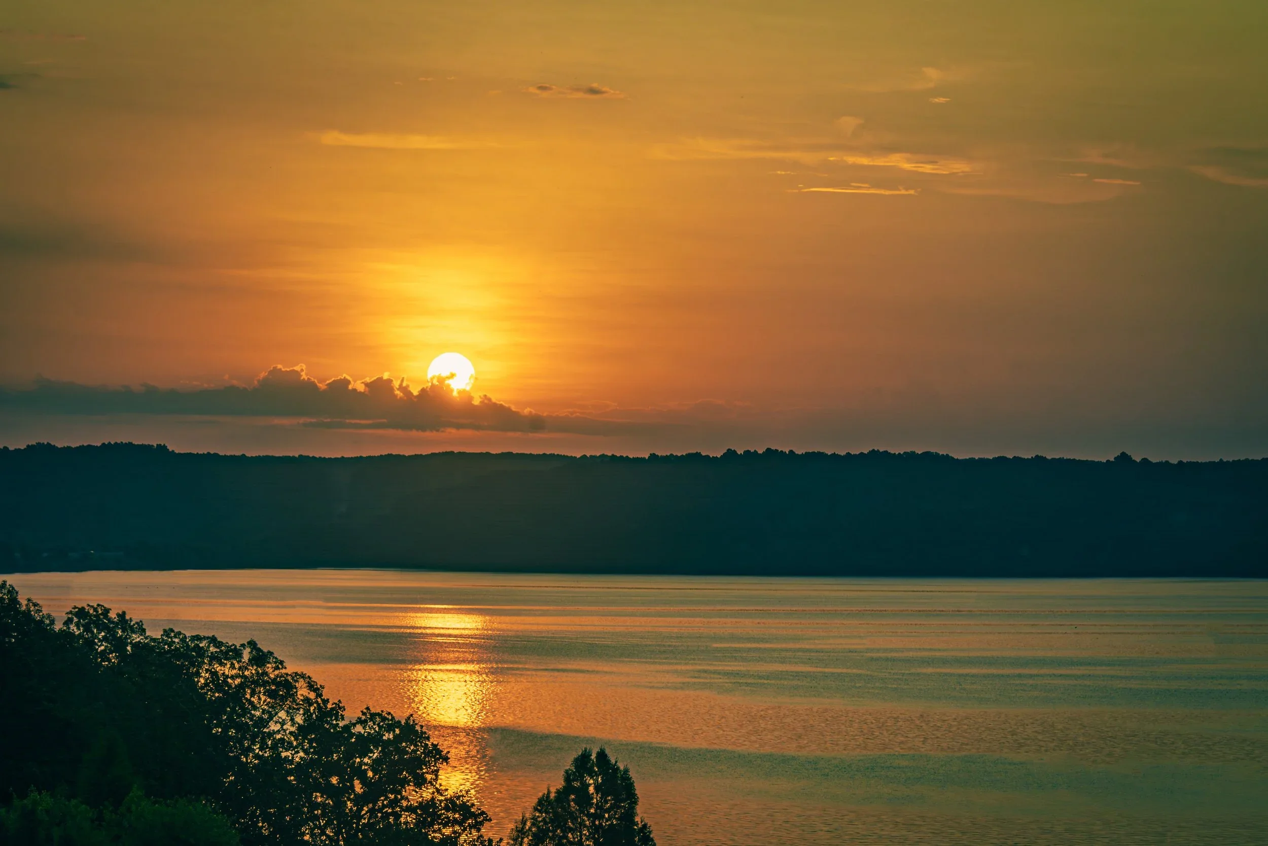 WML_0887-Edit.webp