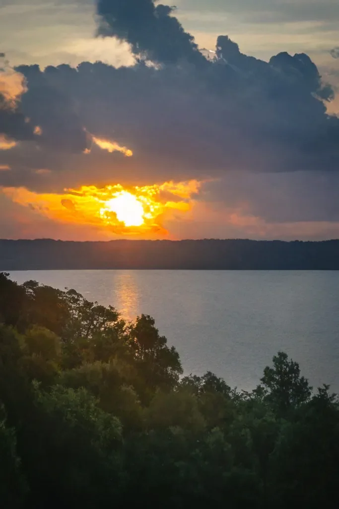 WML_0708-1-683x1024.webp