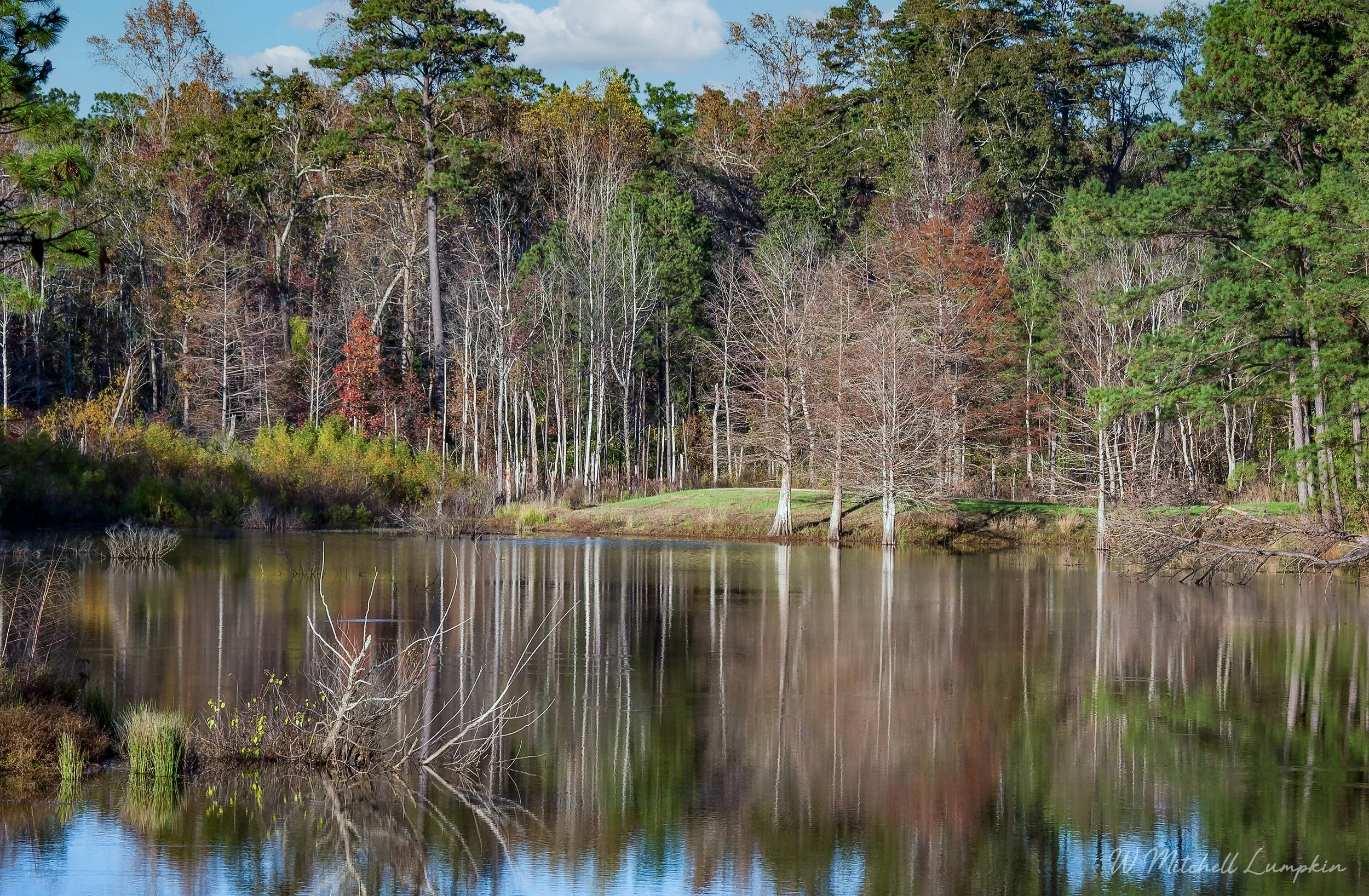 WML_9786-HDR-1__#$.jpg