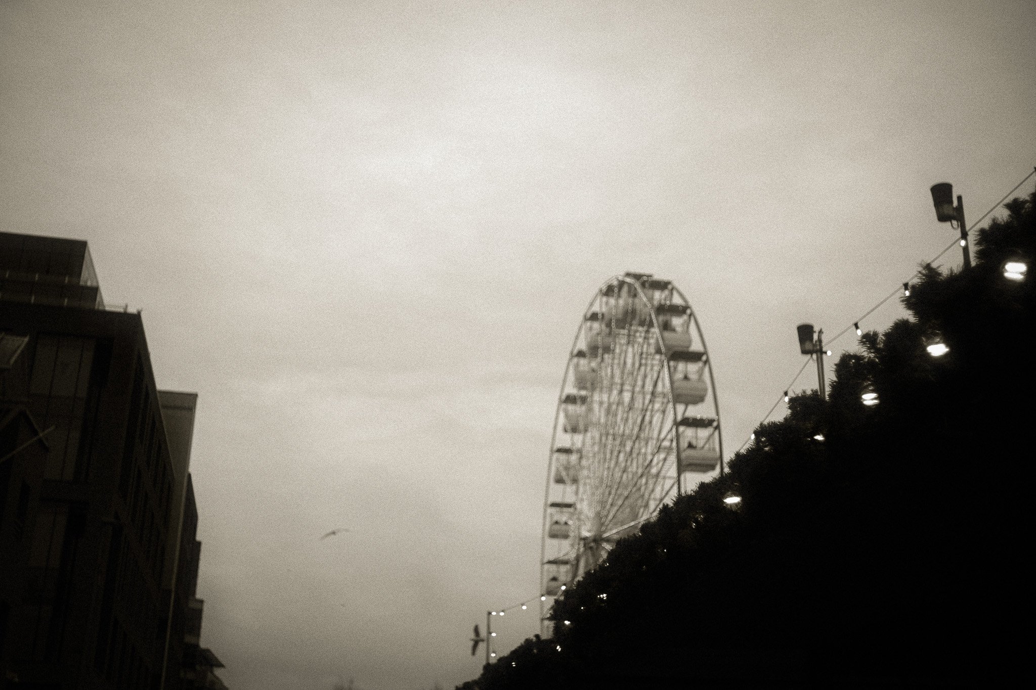DSCF7353.jpg