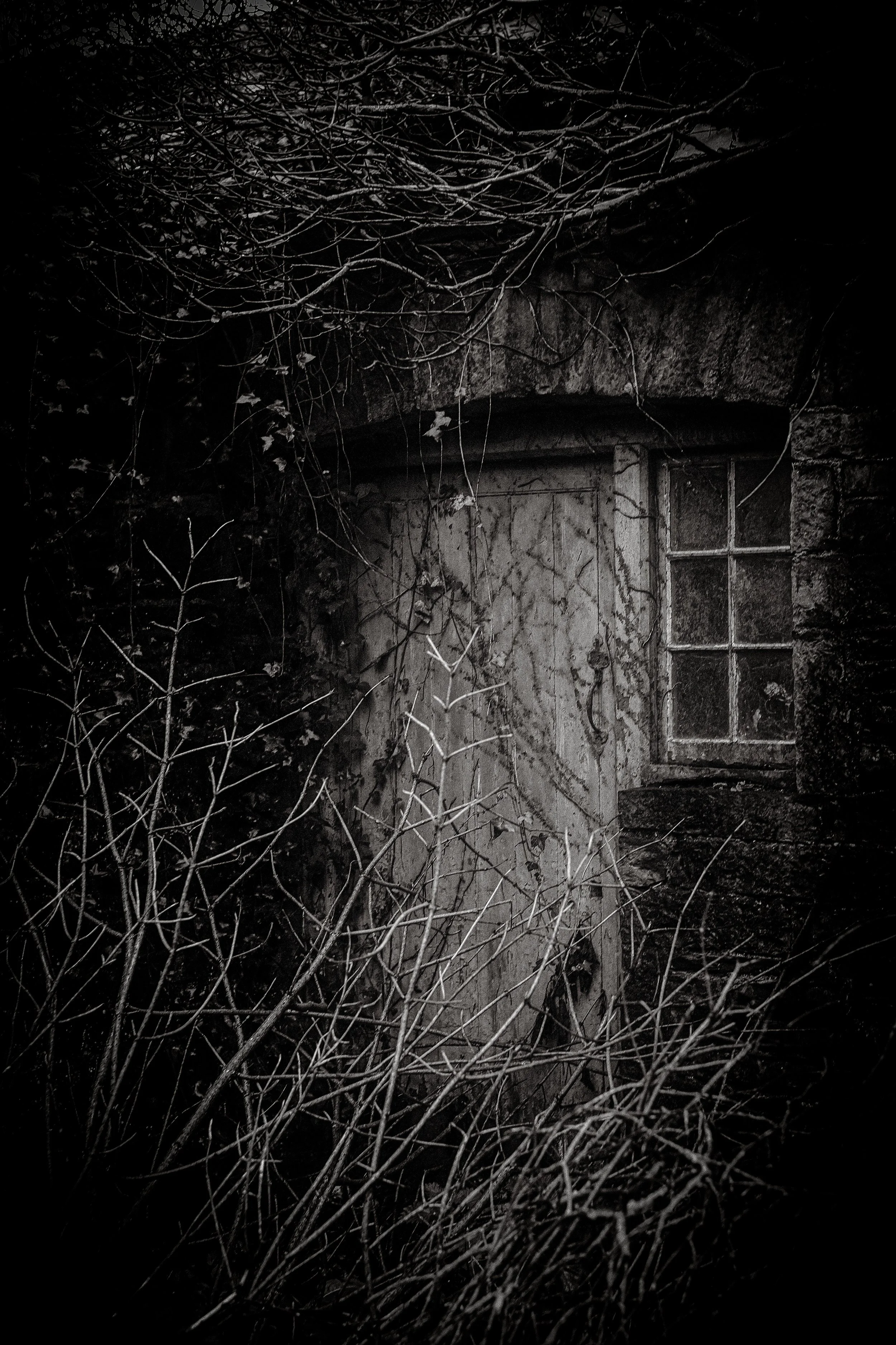 DSCF7879.jpg