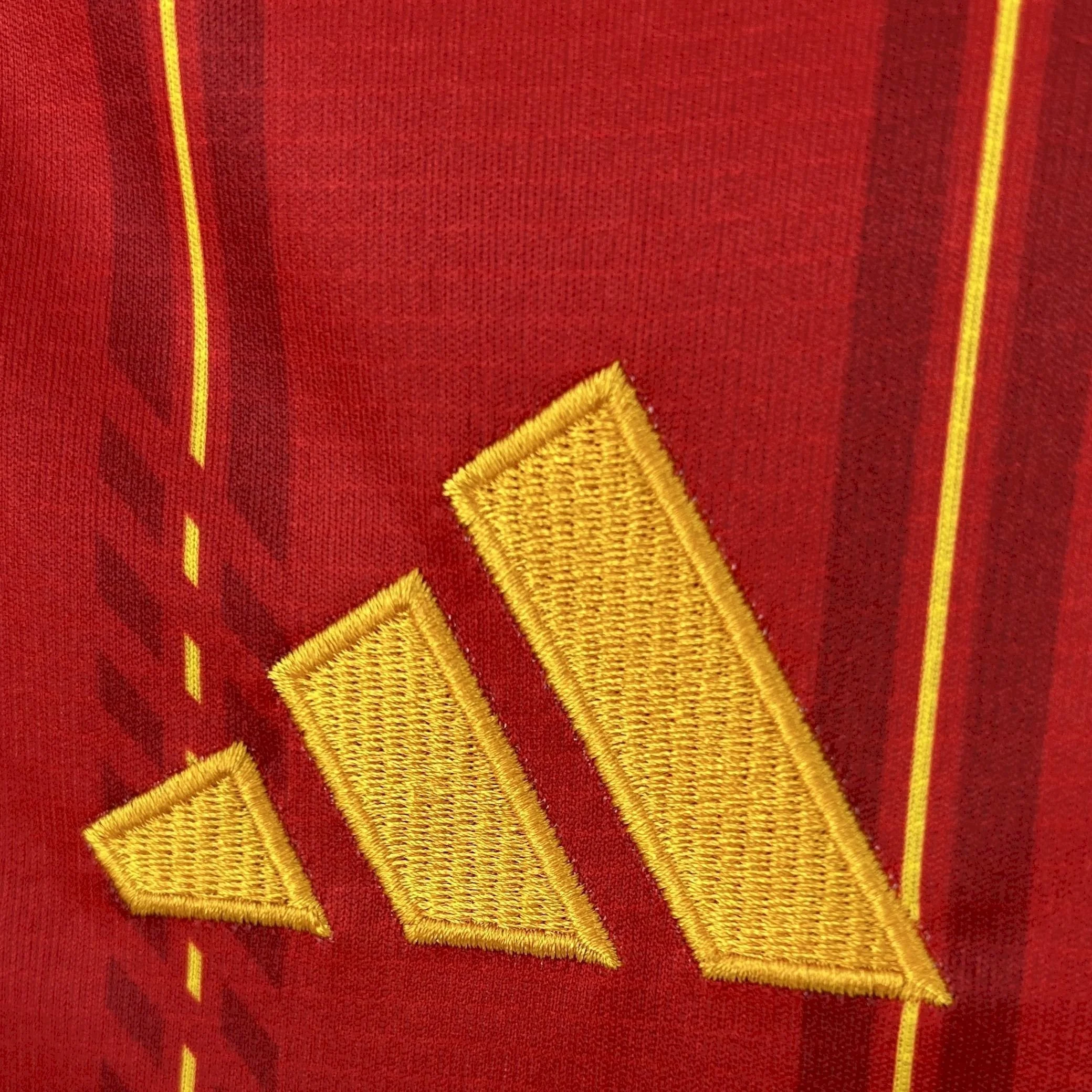 e3c82c51.jpg