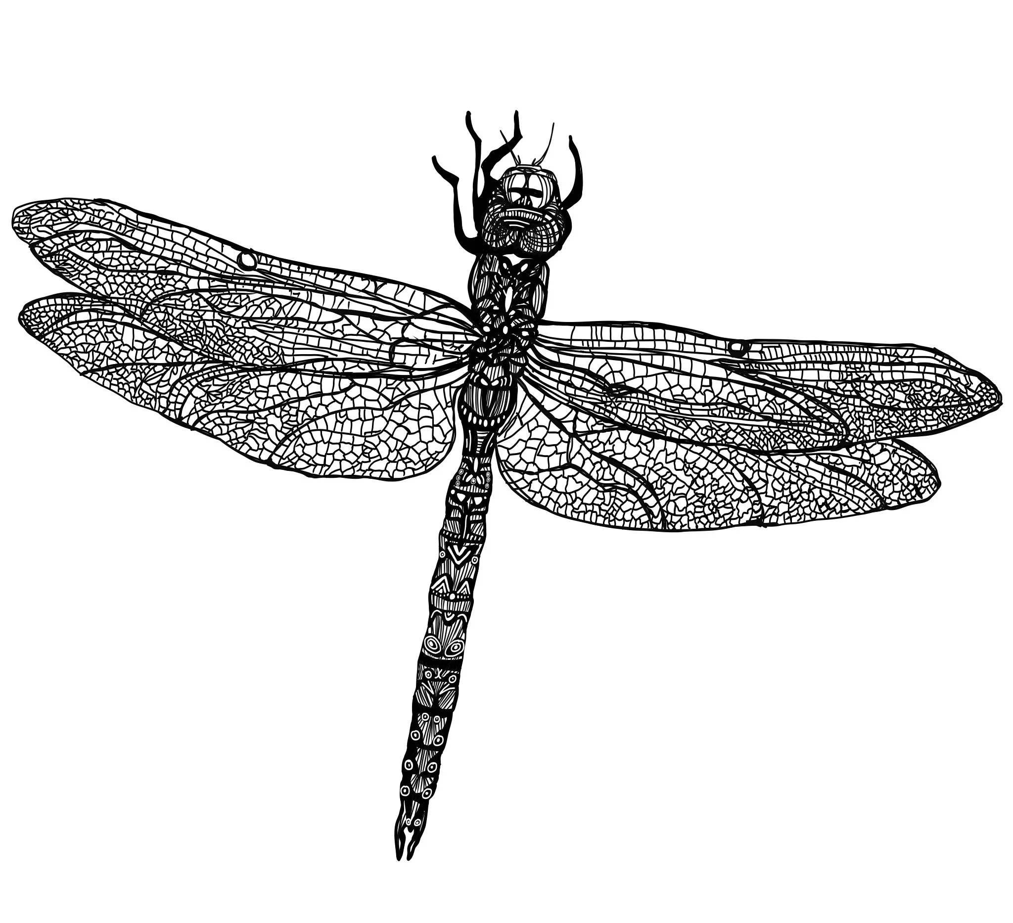 6353F59C-67F6-41D2-8F0C-DC78ED36CE1C.JPG
