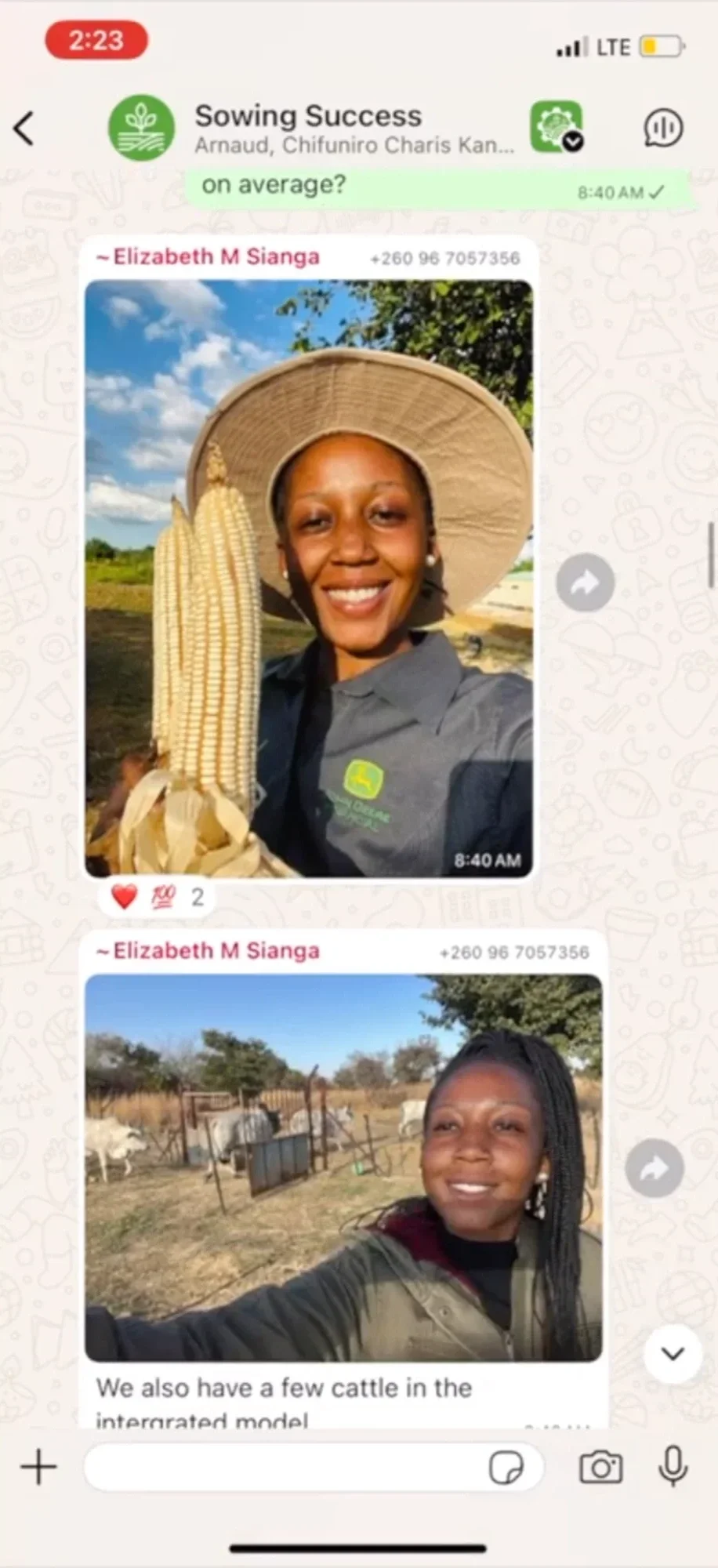 Screenshot of a WhatsApp group chat called 'Sowing Success,' showing photos shared by Elizabeth M. Sianga: one of her holding corn cobs and wearing a sun hat, and another of her in a field with cattle