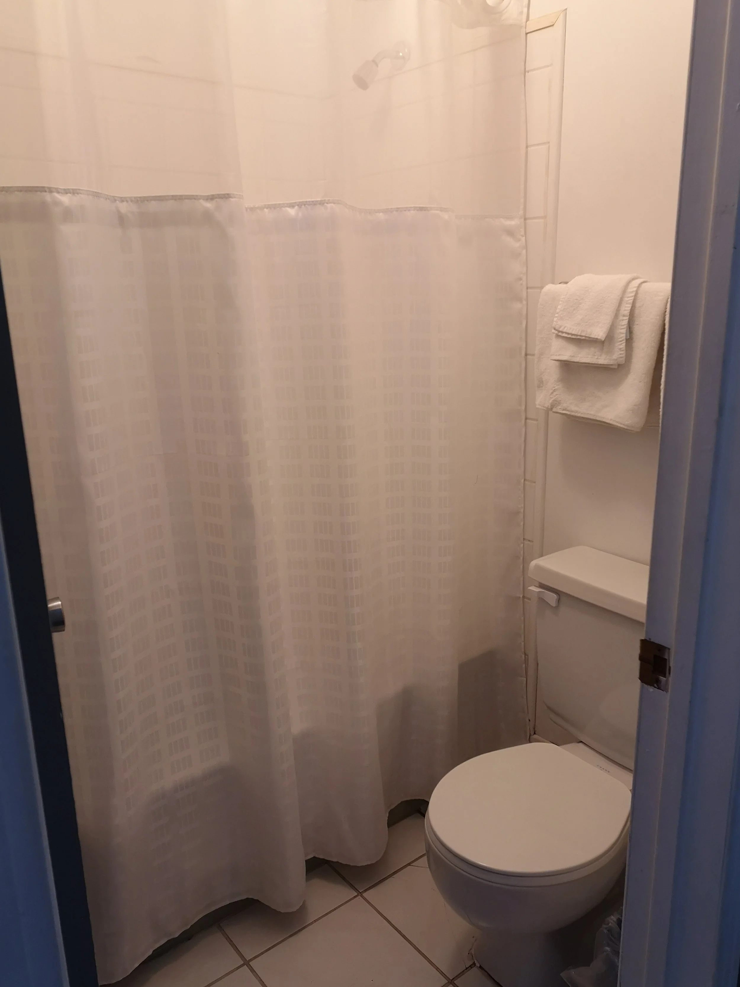 A small bathroom with a toilet, a white towel hanging on a rack, and a shower with a patterned curtain.