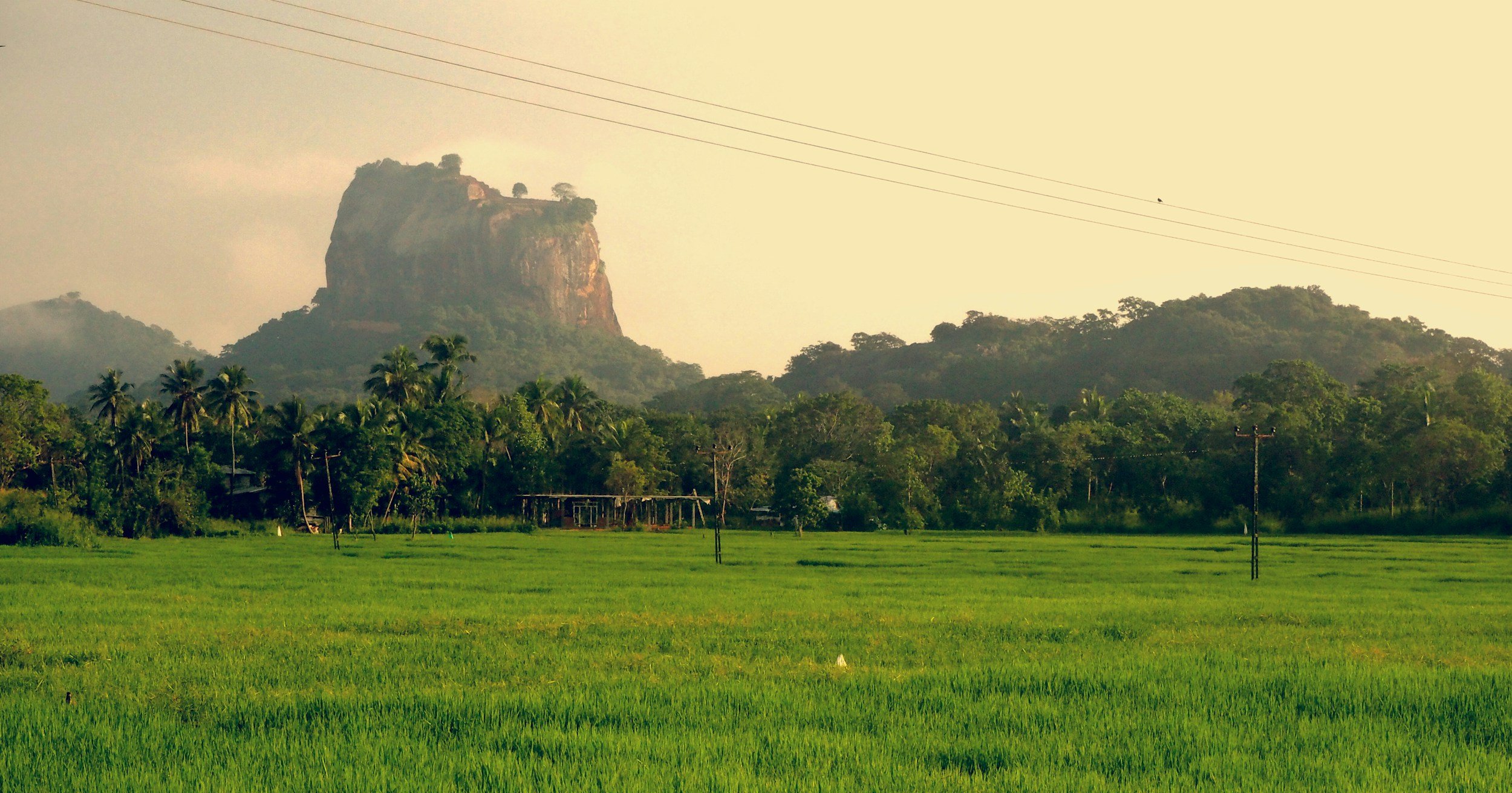 sri lanka field