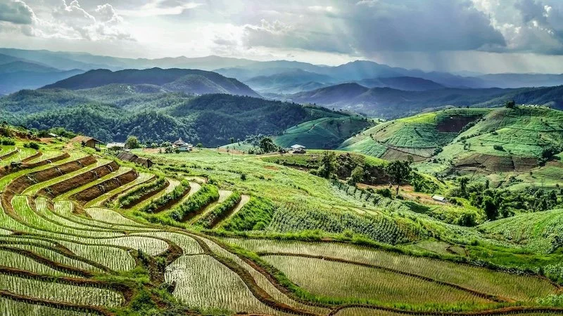 Terraced rice fields on rolling green hills with mountain ranges in the background under a cloudy sky.