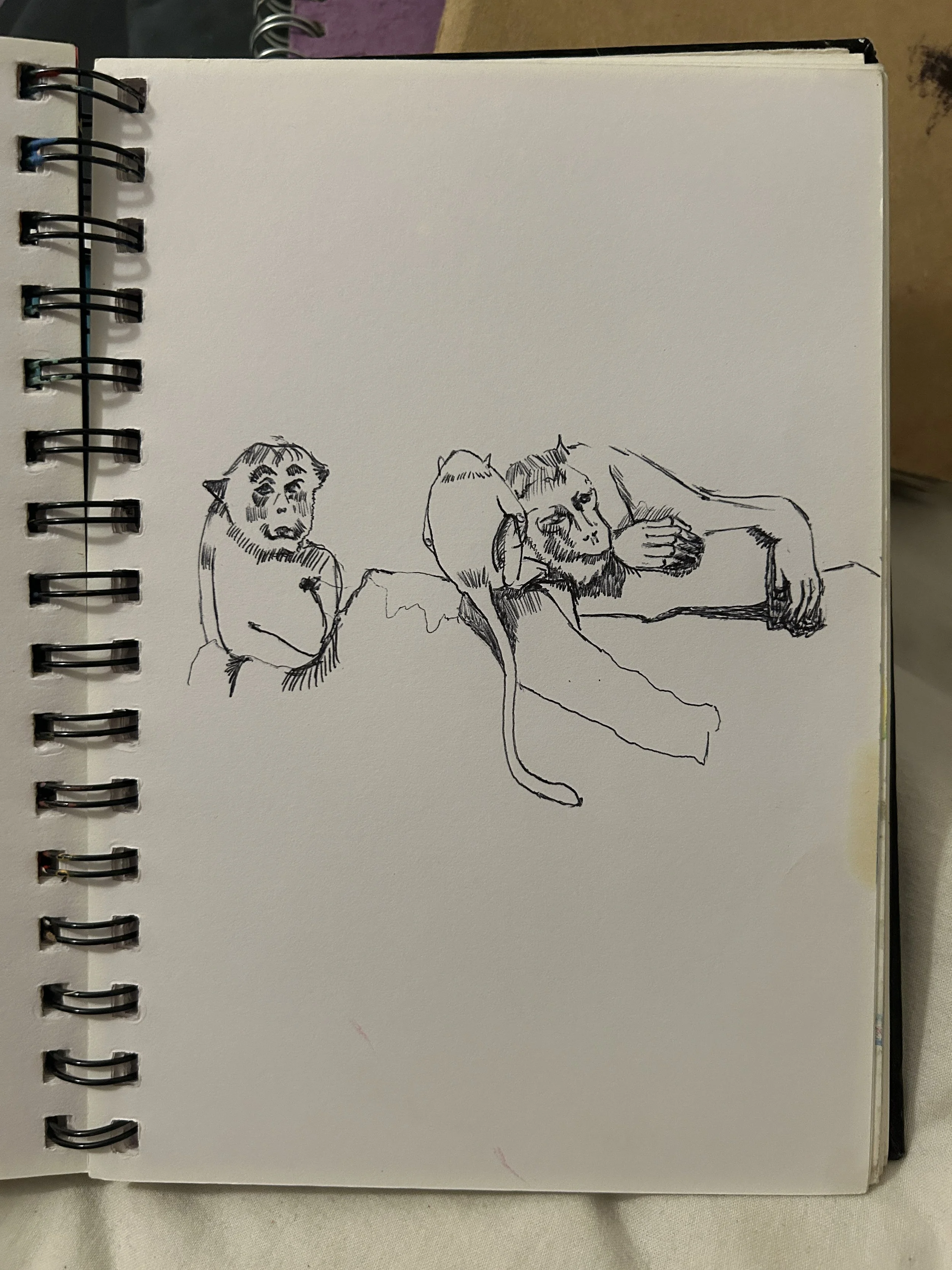 IMG_0050.jpeg