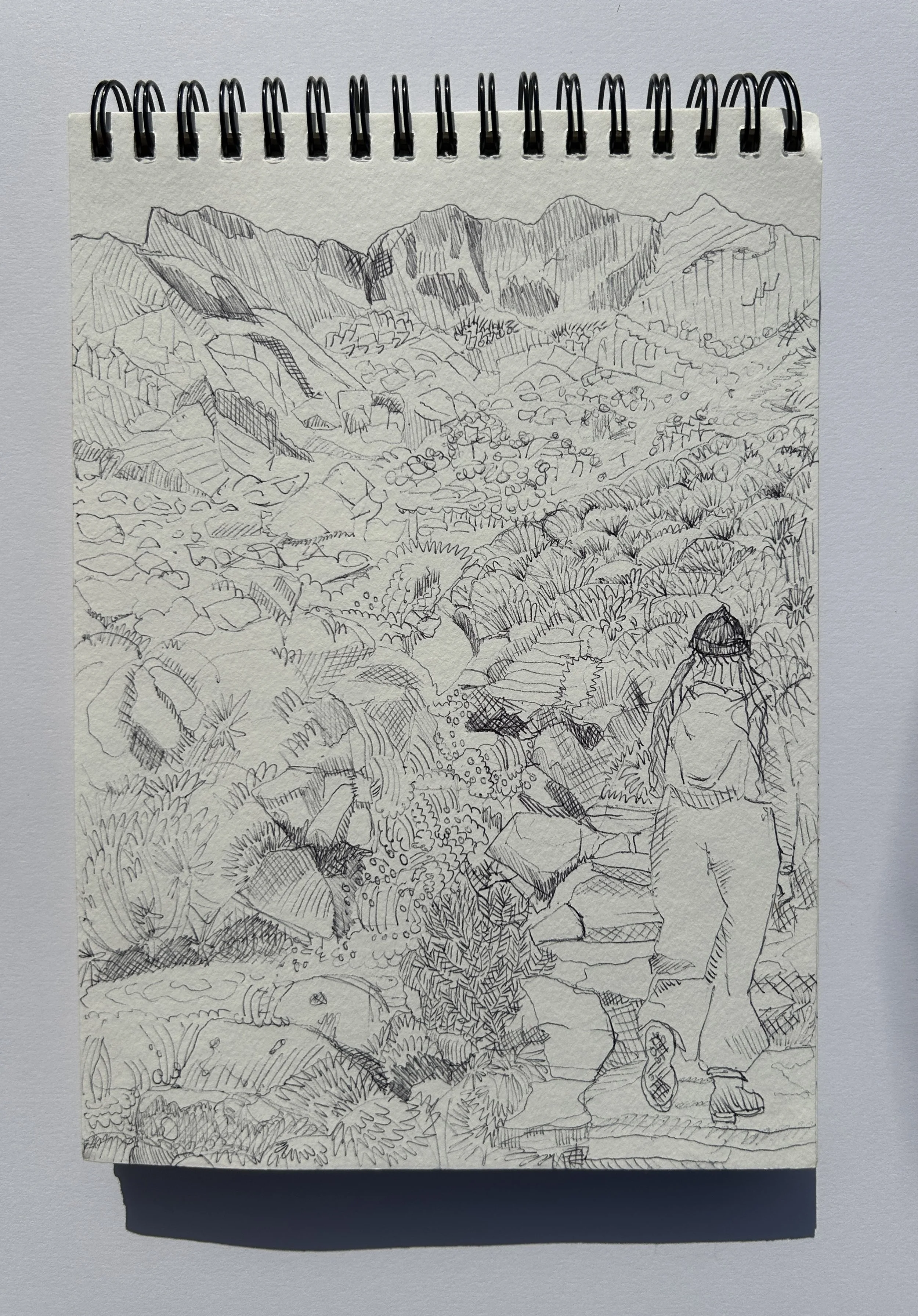 Biro sketch of walking trail up Devil's Kitchen, Wales, 2026