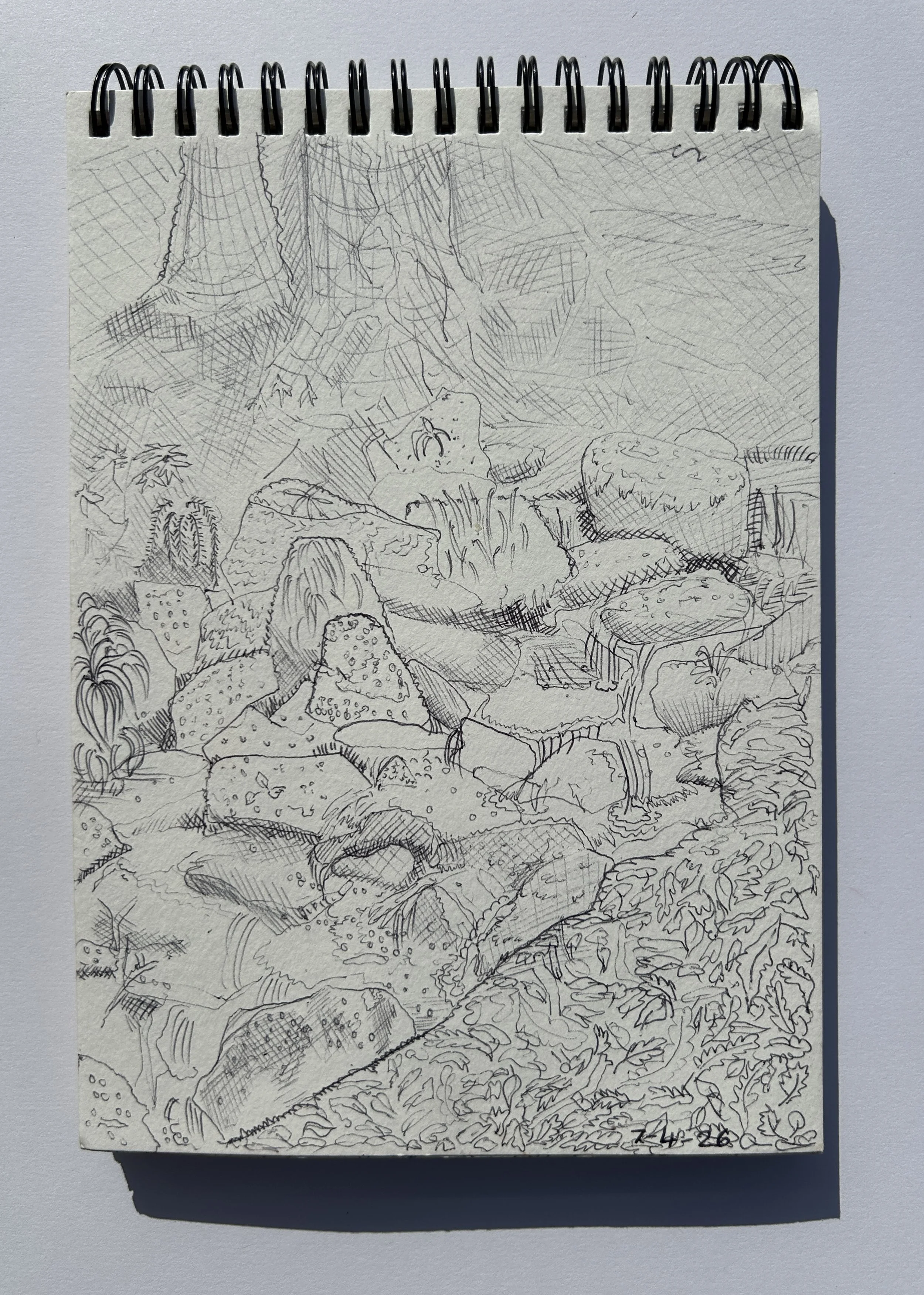 Biro sketch of waterfall in Betws-y-Coed, Wales, 2026