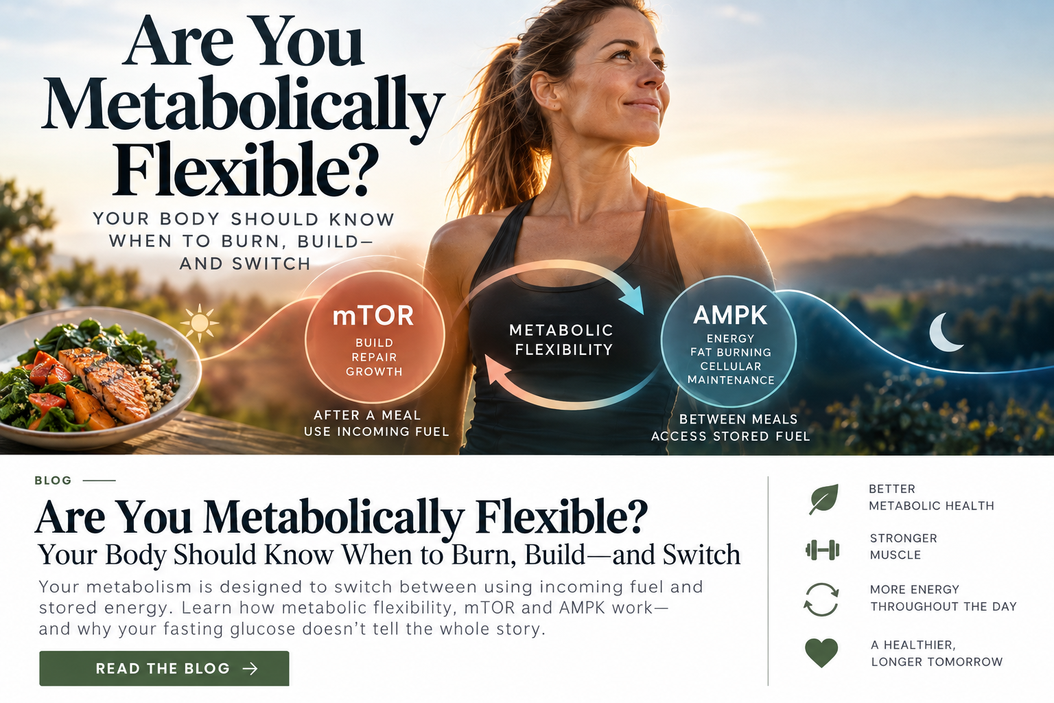 Are You Metabolically Flexible? Your Body Should Know When to Burn, Build—and Switch