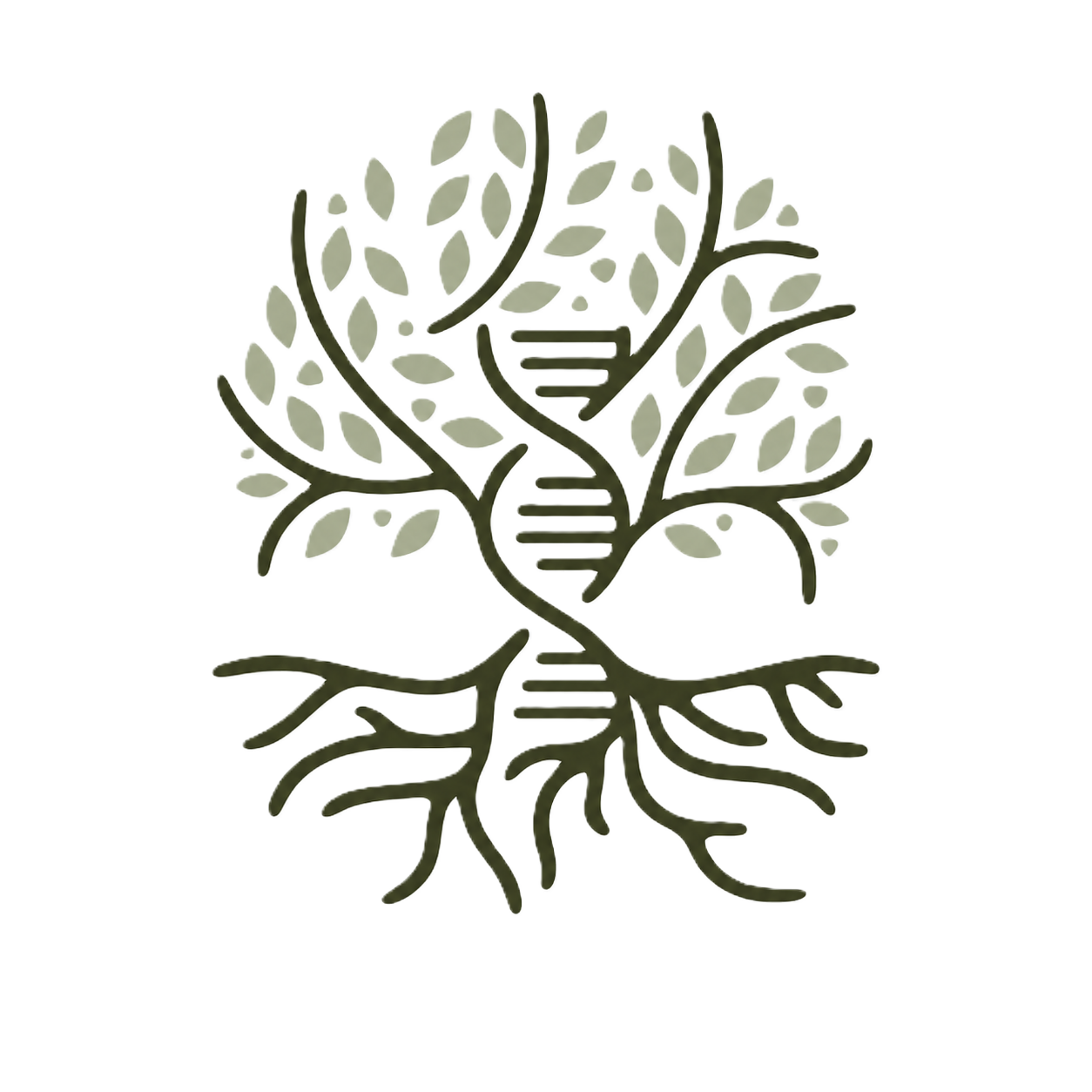 Root Health Integrative Medicine