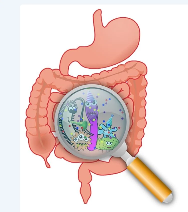 parasite.JPG