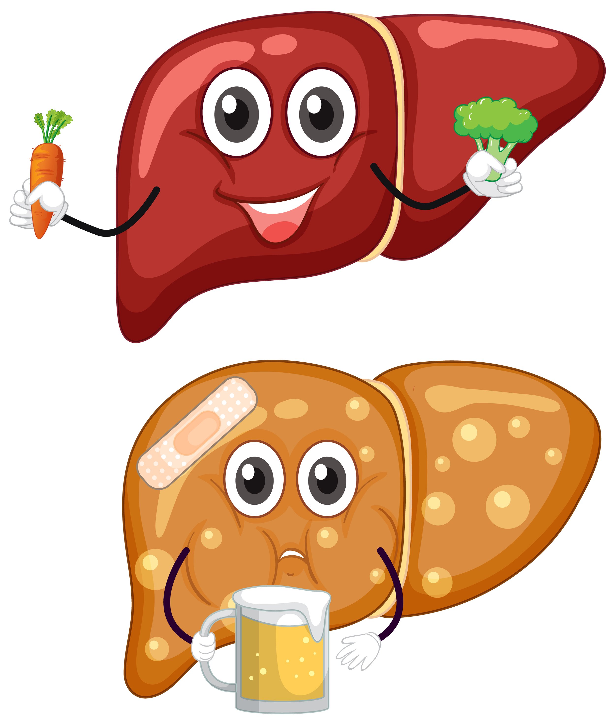 Liver Cleanse Program and Parasite Cleanse Kits