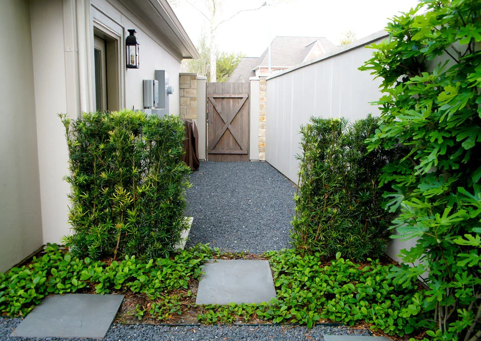 View of sideyard from courtyard.