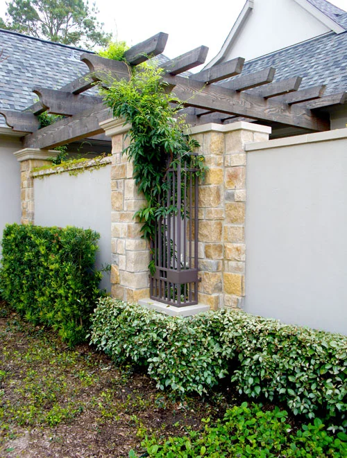 Left: Wisteria climbs a side yard pergola.