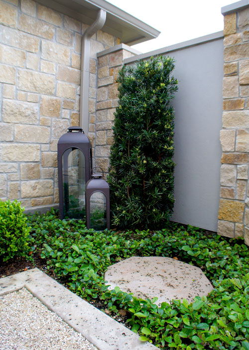 Left: Japanese Yew and Sandy Leaf Fig Ivy green up the corner of this courtyard entryway. A concrete stepping pad with a rock salt finish gives access to outdoor lanterns.