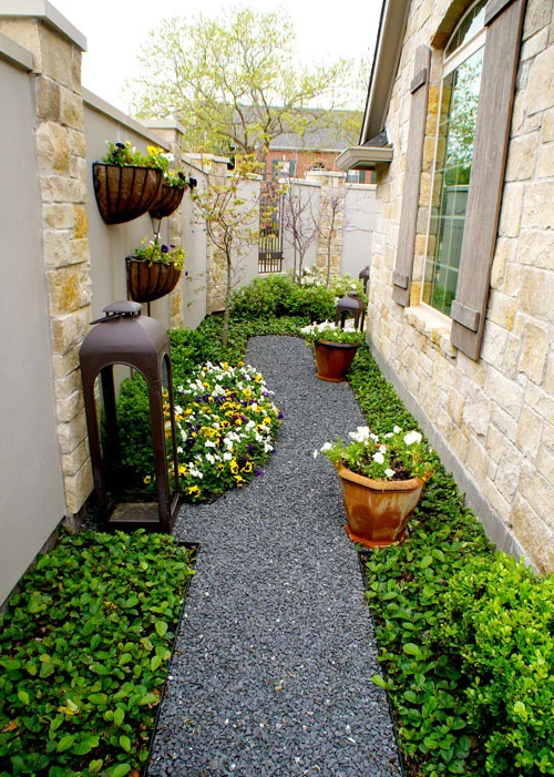 Right: Well appointed side yard with Blackstar gravel path and framed with Sandy Leaf Fig Ivy. Seasonal color adds a visual pop in both terra cotta pots as well as wall-mounted planters.