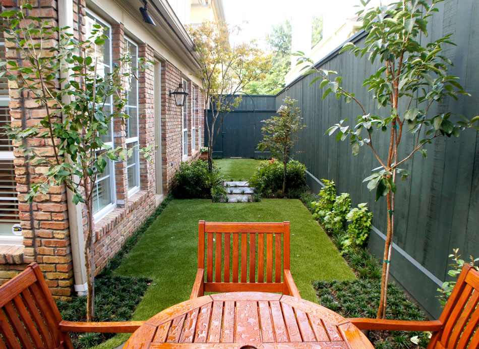 A view looking back at the garden. In early spring, the Chinese Fringe Trees will be full of fluffy, white blooms.