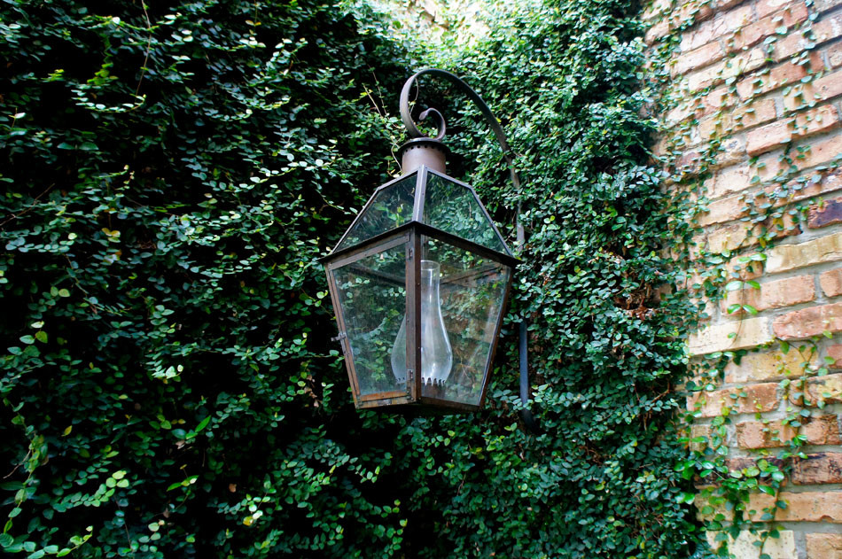 Beautiful Bevolo French Quarter lantern with scroll is immersed in the soft Fig Ivy.