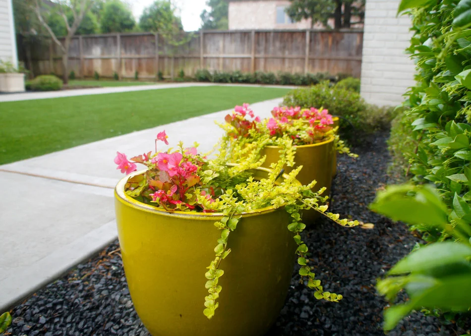 Container garden offers the homeowner a place to excercise her green thumb.