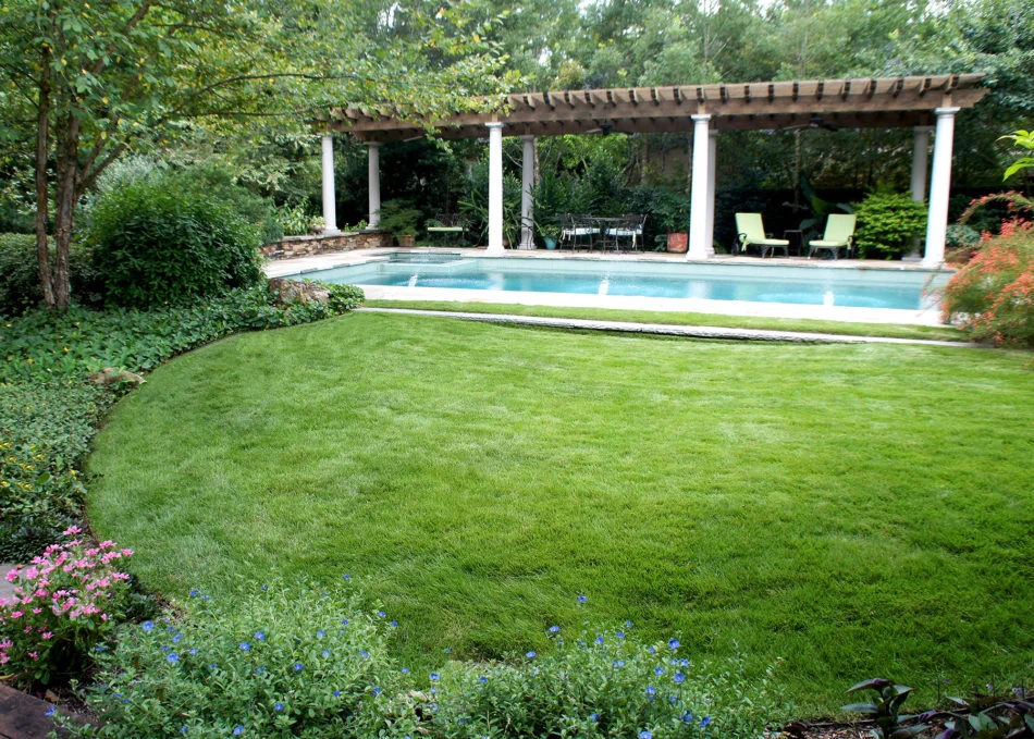 Zoysia Zorro grass leading to the pool.