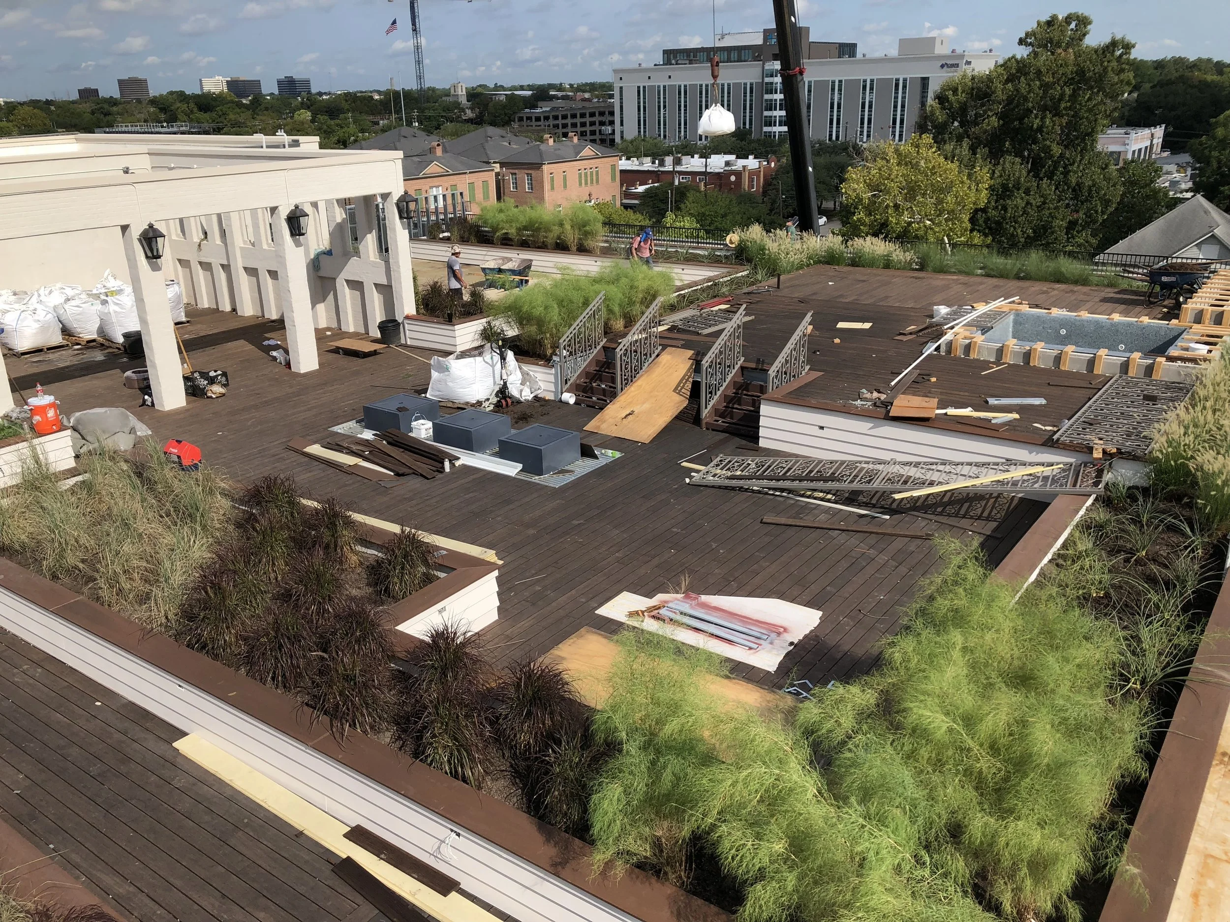 Texas Native Rooftop Oasis