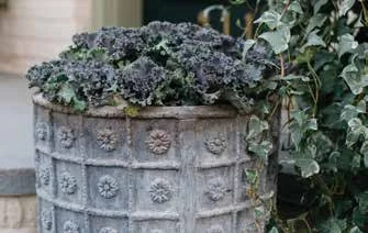GEARING UP FOR SEASONAL COLOR &amp; PLANTINGS