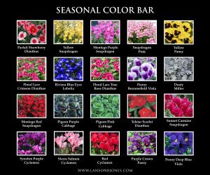 5 ESSENTIAL THINGS TO CONSIDER FOR YOUR FALL LANDSCAPE