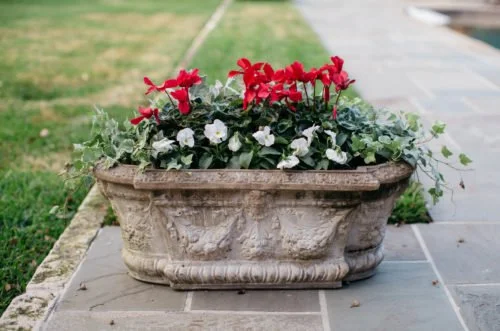 WINTER GARDENING TIPS FOR HOUSTON LANDSCAPES