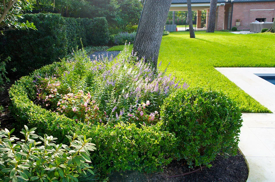 Wetmore_5-950x631.jpg