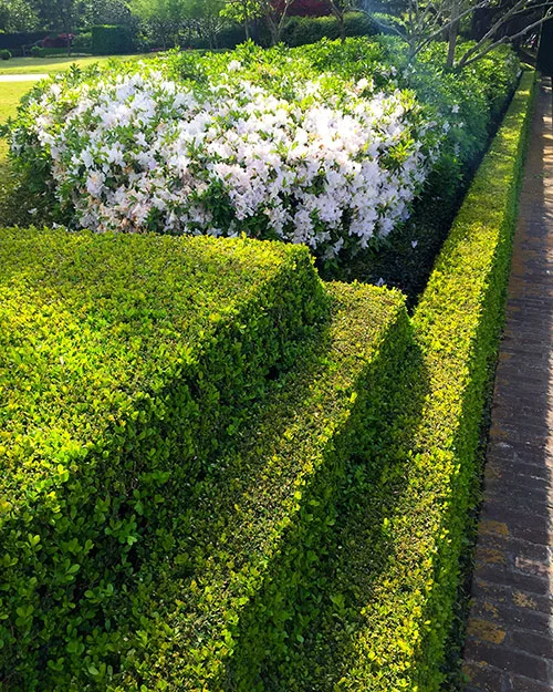 Formal-English-Estate_Image-11.jpg